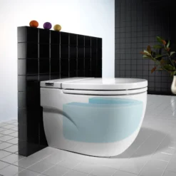 Roca In-Tank Meridian Back To Wall Toilet With Integrated Cistern + Soft Close Seat -Bathroom And Toilet 893303000 d1
