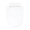 Alaska Back To Wall Toilet Pan + Soft Close Seat 2 Alaska Back To Wall Toilet Pan + Soft Close Seat -Bathroom And Toilet abtw d5