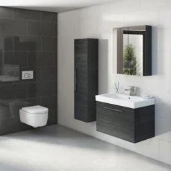 Tissino Angelo Wall Hung Pan + Soft Close Seat 8 Tissino Angelo Wall Hung Pan + Soft Close Seat -Bathroom And Toilet angwc5 d1