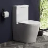 Arezzo BTW Close Coupled Toilet + Soft Close Seat 2 Arezzo BTW Close Coupled Toilet + Soft Close Seat -Bathroom And Toilet arzbtwcc lrg1