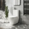 Arezzo Space Saving Combined Two-In-One Wash Basin + Rimless Toilet 1 Arezzo Space Saving Combined Two-In-One Wash Basin + Rimless Toilet -Bathroom And Toilet azcc2in1 d4