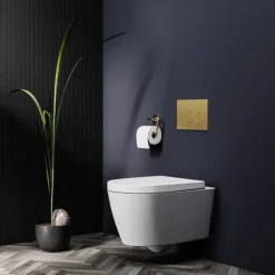 Arezzo Compact Top/Front Flush Toilet Frame With Brushed Brass Flush - Round Buttons -Bathroom And Toilet azcfrbbdetail01