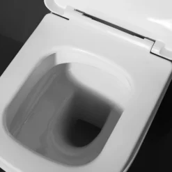 Arezzo Square BTW Rimless Toilet With Soft Close Seat 13 Arezzo Square BTW Rimless Toilet With Soft Close Seat -Bathroom And Toilet azssqbtwp d4
