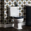 Bayswater Fitzroy Traditional Close Coupled Toilet With Ceramic Lever Flush 1 Bayswater Fitzroy Traditional Close Coupled Toilet With Ceramic Lever Flush -Bathroom And Toilet fitzwc1 d2