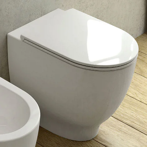 RAK Harmony Back To Wall Pan + Soft Close Urea Seat 3 RAK Harmony Back To Wall Pan + Soft Close Urea Seat