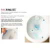 RAK Moon Rimless Back To Wall Pan + Soft-Close Seat 2 RAK Moon Rimless Back To Wall Pan + Soft-Close Seat -Bathroom And Toilet rstbtwpansc d1 6