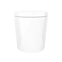 Solace Back To Wall Toilet With Soft Close Seat + Concealed Cistern 11 Solace Back To Wall Toilet With Soft Close Seat + Concealed Cistern -Bathroom And Toilet solwcpakd2