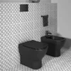 Ideal Standard Tesi Silk Black AquaBlade Back To Wall WC + Soft Close Seat 2 Ideal Standard Tesi Silk Black AquaBlade Back To Wall WC + Soft Close Seat -Bathroom And Toilet tesbbtwsc d4