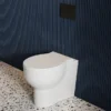Britton Bathrooms Trim Back-to-Wall Pan + Soft Close Seat